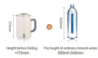 Bouilloire électrique portable d'extérieur à double paroi en acier inoxydable 304 avec pot intérieur sans soudure de 0,6 L, base d'alimentation séparée, vente chaude