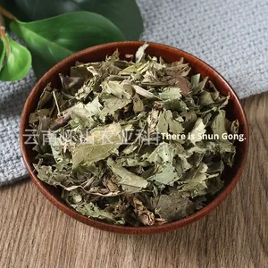 Dragón Jujube agua fragante pequeño orégano Tigre <span class=keywords><strong>fino</strong></span> orégano hierba Peperomia hoja té seco venta al por mayor procesamiento crudo - Product Image 4