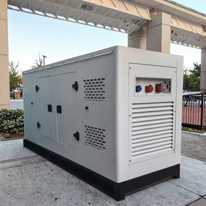 Generatore Diesel Professionale Ricardo Super Silenzioso 50KVA 40kw Monofase con Uscita AC e ATS per Backup Energetico Esterno - Prodotto in Cina - Product Image 1