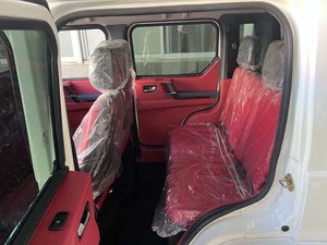 Cinese per adulti Elderly4x4 grande spazio con guida a sinistra a lungo raggio nuova energia pura auto elettrica - Product Image 6