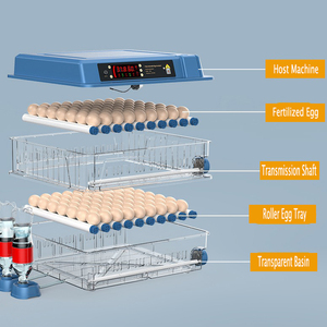 220V/220V + 12V tự động gà trứng lồng ấp cao tỷ lệ nở 64 trứng 360 độ con lăn khay vịt ngỗng chim cút chim bồ câu mới PP - Product Image 4