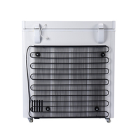 Congélateur coffre solaire hors réseau 12/24V DC, réfrigérateur horizontal à porte unique pour le marché africain, stockage alimentaire 100/150L