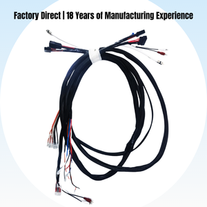 電気自動車用ワイヤーハーネス自動車 & 産業用カスタムワイヤーハーネスアセンブリメーカー - Product Image 3