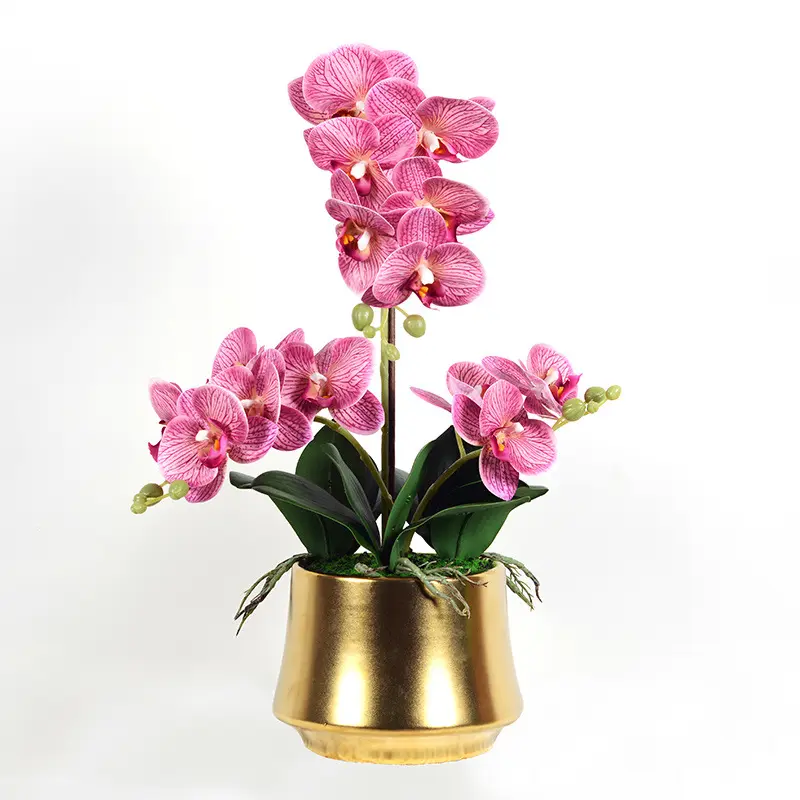 Realistische Orchideenanordnung gefälschter künstlicher roter Phalaenopsis-Orchidenglöpfe-Blumentopf