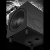 Subwoofer actif haute performance de 10 pouces 300W pour home cinéma, enceintes actives pour connexion arbitraire