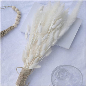 G57 Fleurs Boho Décoration de table pour la maison Bouquet de queues de lapin blanches Fleurs séchées 17 pouces Décor d'herbe de pampa séchée Queues de lapin - Product Image 5