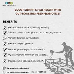 Additifs alimentaires probiotiques pour l'aquaculture des poissons et des crevettes - Product Image 1
