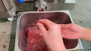 Yeni teknoloji tapyoka Agar suyu topu haşhaş Boba makineleri
