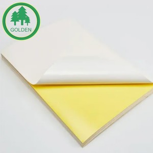 Rollos de Papel Autoadhesivos a Precio de Fábrica, Acabado Brillante de Alta Calidad, Adhesivos a Base de Agua para una Promoción de Marca Vibrante - Product Image 3