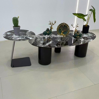 Table basse gigogne au design unique, luxe léger, avec plateau en pierre et pieds en acier inoxydable