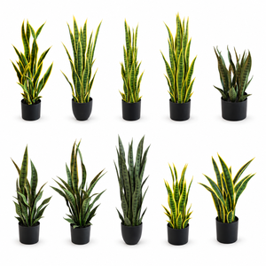 Planta Artificial de Serpiente Falsa Alta, Hojas Realistas de Aloe Vera, para Oficina, Vestíbulo, Tienda Minorista, Decoración de Interiores - Product Image 1