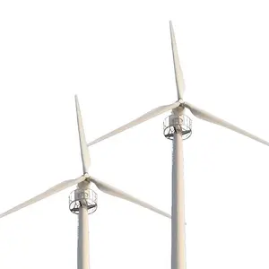 Power 10KW Alternative Energy Wind Turbine 220V Generator With Inverter Can Be Matched