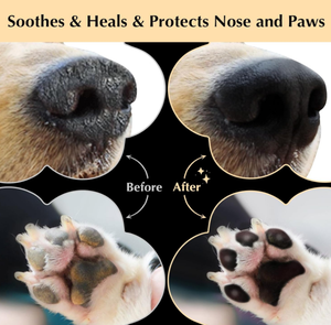 Usine en gros lécher sûr chien patte baume pour chiens et chats nez baume pour nez sec et museau sucette sec fissuré produit <span class=keywords><strong>de</strong></span> santé pour animaux <span class=keywords><strong>de</strong></span> compagnie - Product Image 4