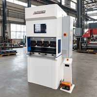Presse plieuse CNC électrique compacte de précision 12T 800mm à double servo pour tôles