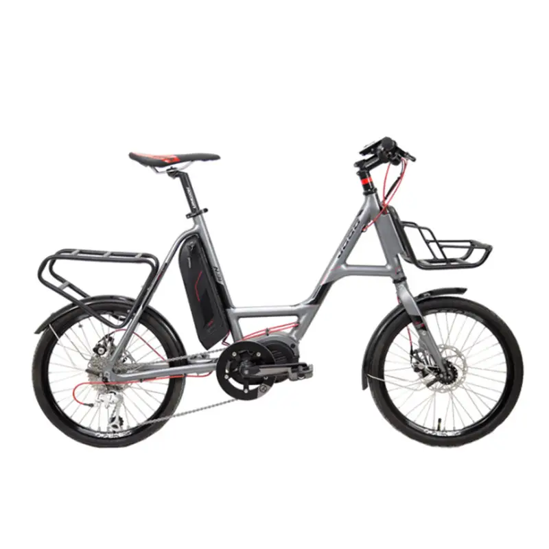 OEM&ODM Custom Electric Cargo Bike Family E-bike 36v 250w Canada Us Market