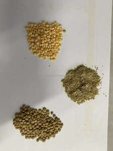 Alto RENDIMIENTO <span class=keywords><strong>DE</strong></span> 1-2 toneladas por hora, maquinaria <span class=keywords><strong>de</strong></span> procesamiento <span class=keywords><strong>de</strong></span> semillas <span class=keywords><strong>de</strong></span> frijoles <span class=keywords><strong>de</strong></span> Lentejas rojas, núcleo <span class=keywords><strong>de</strong></span> molino <span class=keywords><strong>de</strong></span> rodillos para una división eficiente <span class=keywords><strong>de</strong></span> descascarillado - Product Image 5