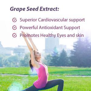Capsules d'extrait de pépins de raisin OEM ODM, antioxydant, soutient la fonction cardiovasculaire, favorise la santé des yeux et de la peau, végétalien, sans OGM - Product Image 3