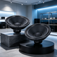 AX15N351 Altavoces de 15 pulgadas con woofer de cesta, controlador de altavoz de potencia de 500W, equipo de sonido profesional para escenario, 8 ohmios, VC3.5'', OEM de fábrica