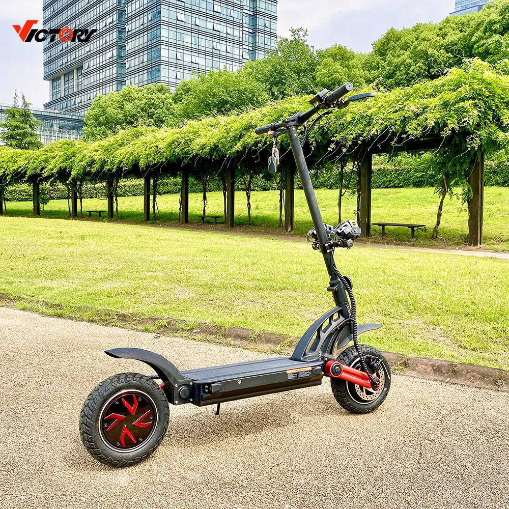 Eu Magazijn 5600W Elektrische Scooter Olie Rem Uithollen Auto Pole Fieabor Dual Motor Elektrische Scooters