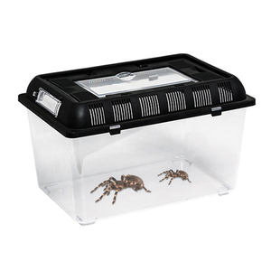 Boîte d'élevage de reptiles, araignée, lézard Gecko, Hamster, serpent, tortue, coccinelle, étui Transparent pour animaux de compagnie - Product Image 3