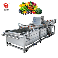 DZJX Volledig Automatische Multifunctionele Wortelgroente Reinigingsmachine voor Maïs/Noten Radijs/Rambutan/Surfing