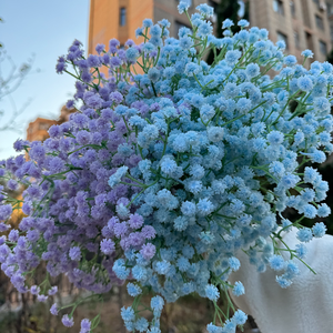 Dalian Chermy azul púrpura Babysbreath Real Touch látex Gypsophila <span class=keywords><strong>Paniculata</strong></span> para la decoración de la boda - Product Image 3