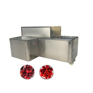 Machine industrielle de dénoyautage de cerises, machine de retrait des noyaux de cerises, Chine - Product Image 1