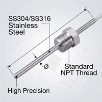 RTD PT100 PT1000 Temperature Sensor Probe Class a Stainless Steel with 1m 3m 5m Fiberglass Cable for Gas Liquid