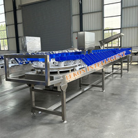 Machine de triage de poids de pieds de poulet Machine d'abattage de volaille de type plateau rotatif