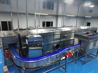 3000l Ananassap Kan Verwerkingsfabriek
