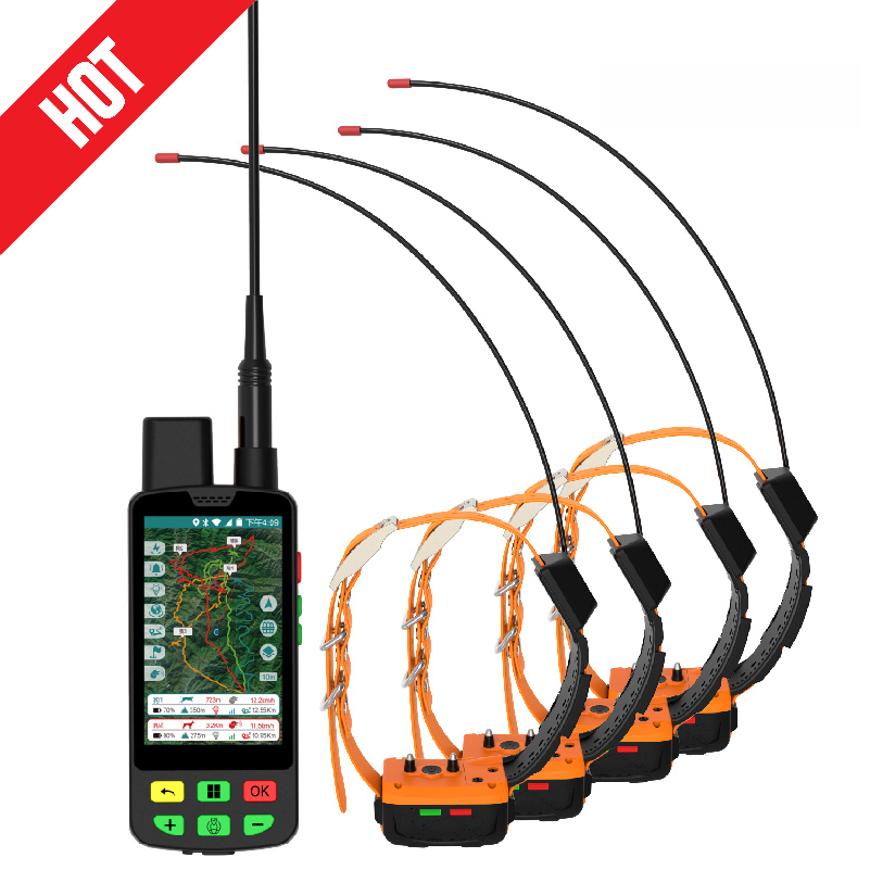 Ensemble Orange 1 Tête + 4 Colliers