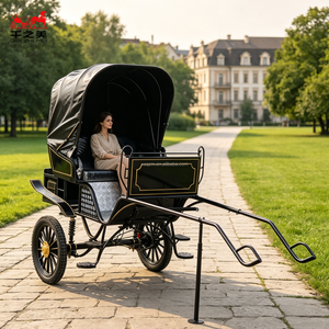 2026 <span class=keywords><strong>Chariot</strong></span> <span class=keywords><strong>à</strong></span> chevaux vintage de haute qualité, promotion, excellent <span class=keywords><strong>chariot</strong></span> <span class=keywords><strong>à</strong></span> 2 roues pour mini-chevaux, <span class=keywords><strong>à</strong></span> vendre, <span class=keywords><strong>chariot</strong></span> de défilé - Product Image 2