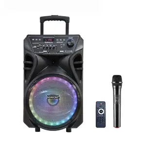 Großhandel 8 Zoll wiederauf ladbare Karaoke Wireless tragbare DJ Bass Outdoor Trolley Lautsprecher Lautsprecher mit DVD-Player Bt Ktv