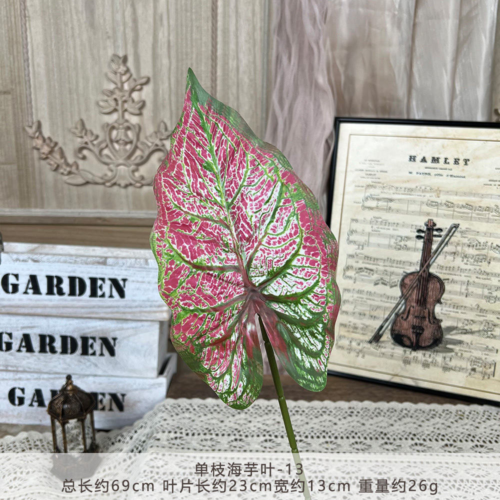YM2-Single taro leaf-13
