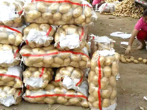 Jiuwang có thể tùy chỉnh túi lưới rau trong suốt, túi dệt, kéo PP, PE, hành tây, khoai tây, rau - Product Image 4