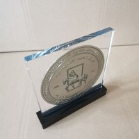 Plaque de trophée personnalisée en acrylique transparent avec médaille métallique en relief et support en lucite – Récompense pour événements sportifs, anniversaires d'entreprise, souvenirs et cadeaux