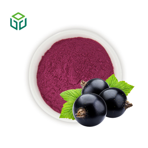 High Quality Competitive Price Natural Food Grade Fruit Extract Blackcurrant Juice Powder Anthocyanin - Product Image 2