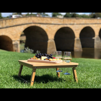 Table pliante portable pour jardin extérieur piscine et plage Rectangle Table de camping légère bureau pliable résistant à l'eau