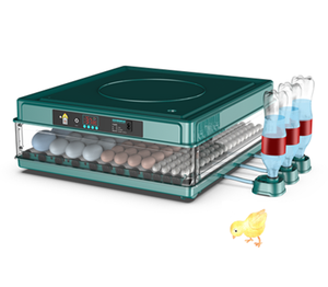 <span class=keywords><strong>Incubatrice</strong></span> per <span class=keywords><strong>uova</strong></span> completamente automatica di piccola capacità - Product Image 6