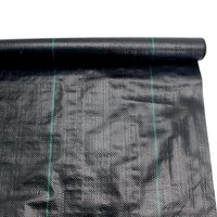 UV-bestendig 90gsm PP geweven gronddoek onkruidmat zwart met groene markeringslijn onkruidbestrijdingsdoek voor tuin en kas