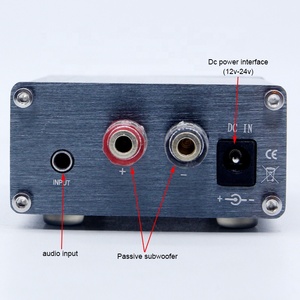 BRZHIFI-Mini amplificateur Mono numérique B3 TPA3116 de classe D, caisson de basses, haute puissance, <span class=keywords><strong>son</strong></span> stéréo 100W, <span class=keywords><strong>ampli</strong></span> <span class=keywords><strong>HiFi</strong></span> à pleine fréquence - Product Image 5