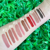 Kit de rouge à lèvres liquide mat avec étiquette privée