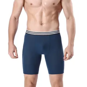 Đồ lót nam 95% Nylon 5% spandex 2 Sọc Dây thắt lưng trống mềm thoáng khí người đàn ông boxer tóm tắt