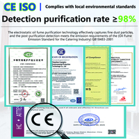 Hotte de cuisine professionnelle en acier inoxydable 201 certifiée ISO9001 CE avec filtre électrostatique pour équipement de traitement du gaz hôtelier