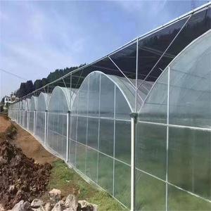 هيكل دفيئة زراعية كبير متصل لشتلات الخضروات من أنابيب البولي إيثيلين المجلفنة على الساخن لمشاريع البيوت المحمية - Product Image 5