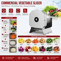 Elektrische Fruit- en Groentesnijder/Shredder 304 RVS 200kg/u Dubbele Modus Snijden/Schaven voor Restaurant Commerciële Kwaliteit