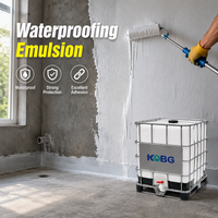 Émulsion acrylique imperméabilisante haute pénétration, apprêt fortifiant anti-efflorescence pour l'étanchéité des surfaces à base de ciment