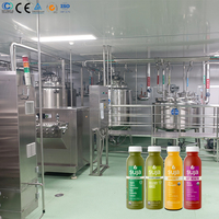 Complete set, eenvoudige bediening, geconcentreerde fruit sap productielijn