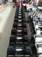 Ensemble d'haltères réglables pour la musculation, équipement de fitness, poids de gym dans un design personnalisé coloré, fabriqué en acier et en plastique