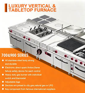 Matériel de cuisine pour hôtels et restaurants, bain-<span class=keywords><strong>marie</strong></span> à gaz commercial série 900 à 4 ou 6 bacs avec armoire de maintien au chaud des aliments - Product Image 6